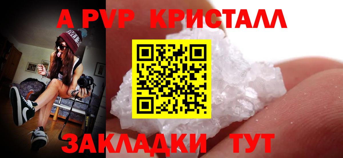 A PVP СК КРИС Советск