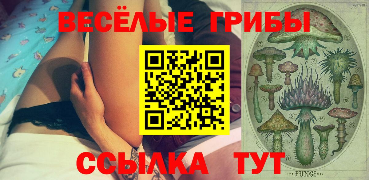 Советск  Псилоцибиновые грибы MAGIC MUSHROOMS  Вход с VPN  Псилоцибиновые грибы ЛСД 